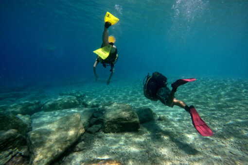 PADI Open Water Diver