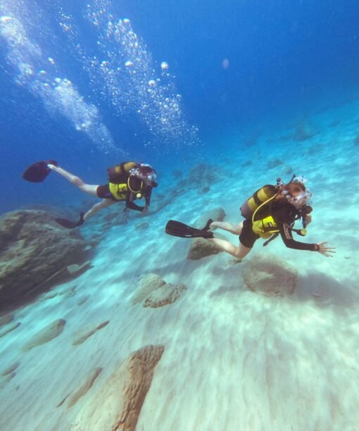 Padi scuba diver course in Oludeniz Fethiye