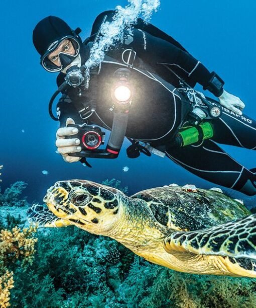 Underwater Photographer