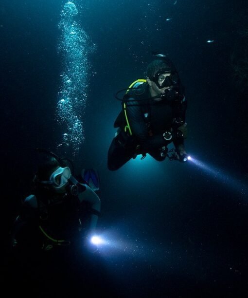 Night Diver Speciality